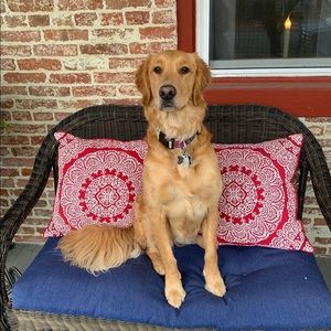 Meet your Posher, Taylor